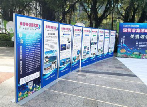 明光KT板的种类和知识。